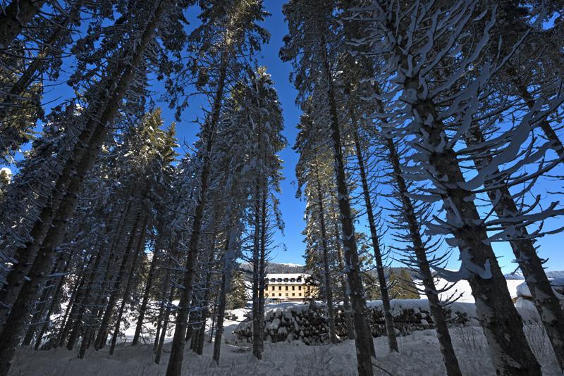 Hotel Vezzena Malga Postesina المظهر الخارجي الصورة